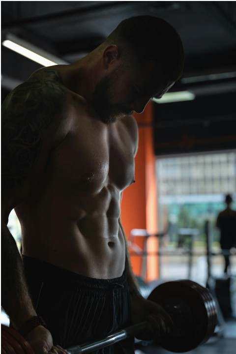 Nutrition plan