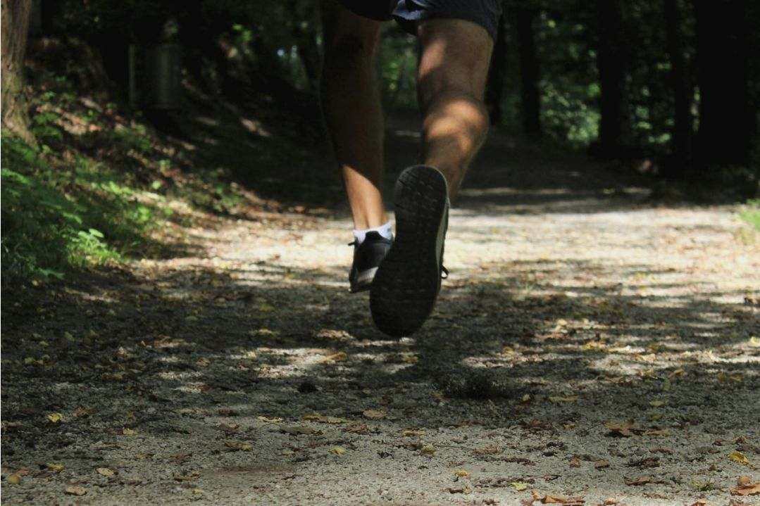 Training image 1